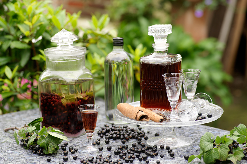 Zwarte bessenlikeur in mooie vazen met glaasjes erbij op een tafel
